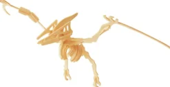Łamigłówka drewniana Gepetto - Pteranodon (Pteranodon)