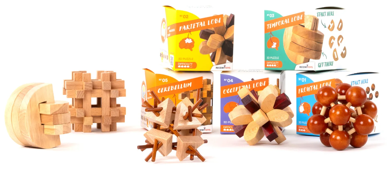 Brain Puzzle 5 - Cerebellum - łamigłówka Recent Toys - poziom 5/5