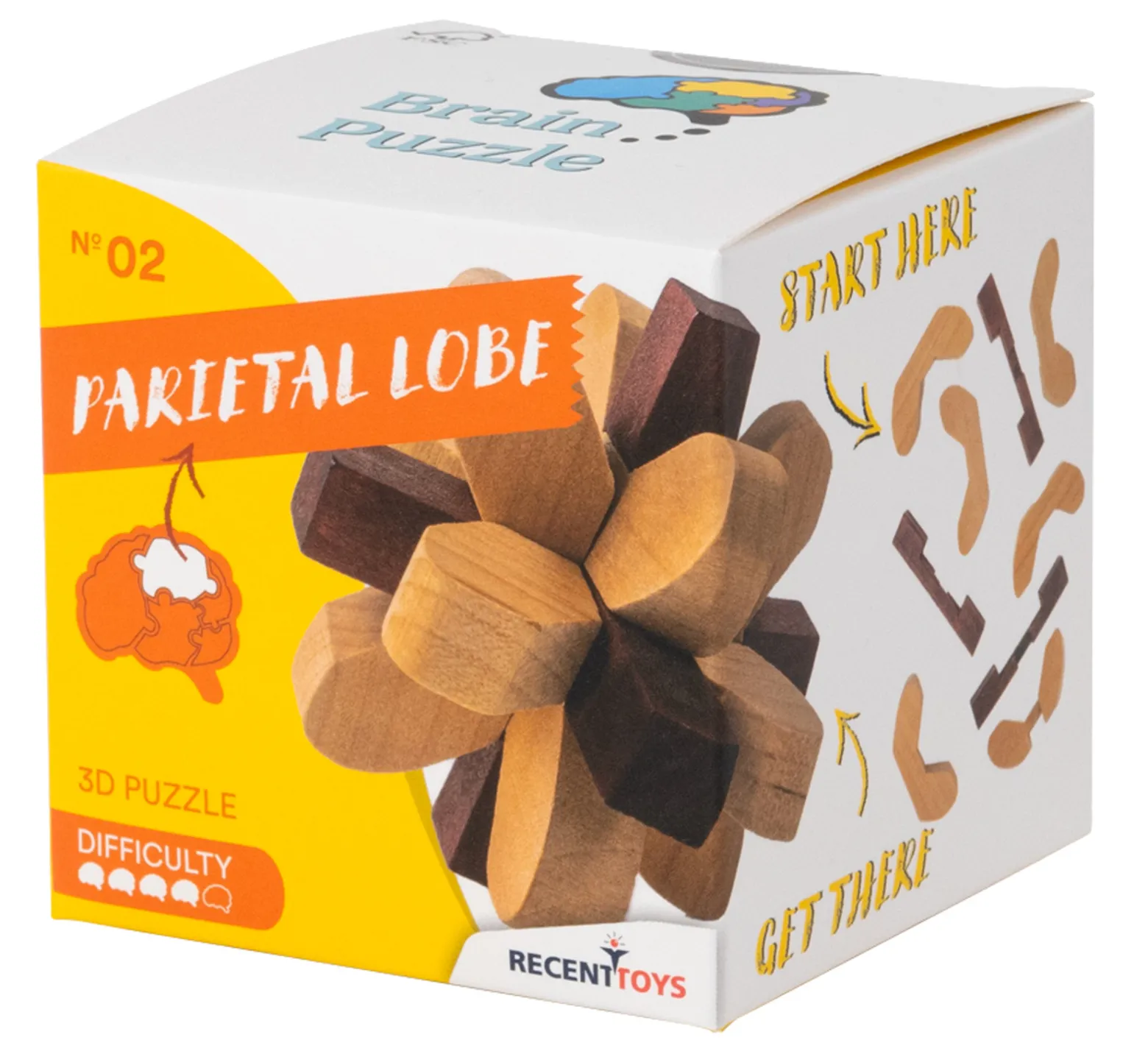 Brain Puzzle 2 - Parietal Lobe - łamigłówka Recent Toys - poziom 4/5