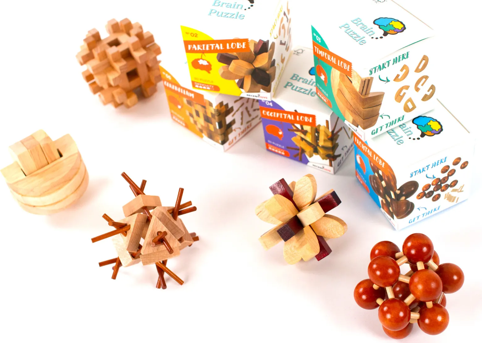 Brain Puzzle 2 - Parietal Lobe - łamigłówka Recent Toys - poziom 4/5