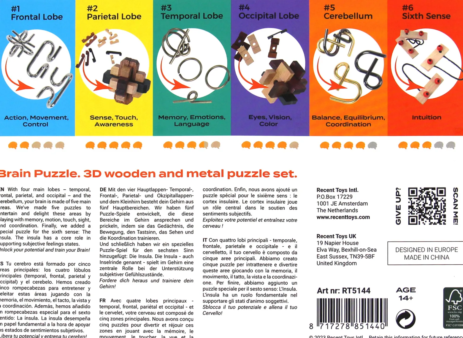 Brain Puzzle (zestaw 6 łamigłówek)
