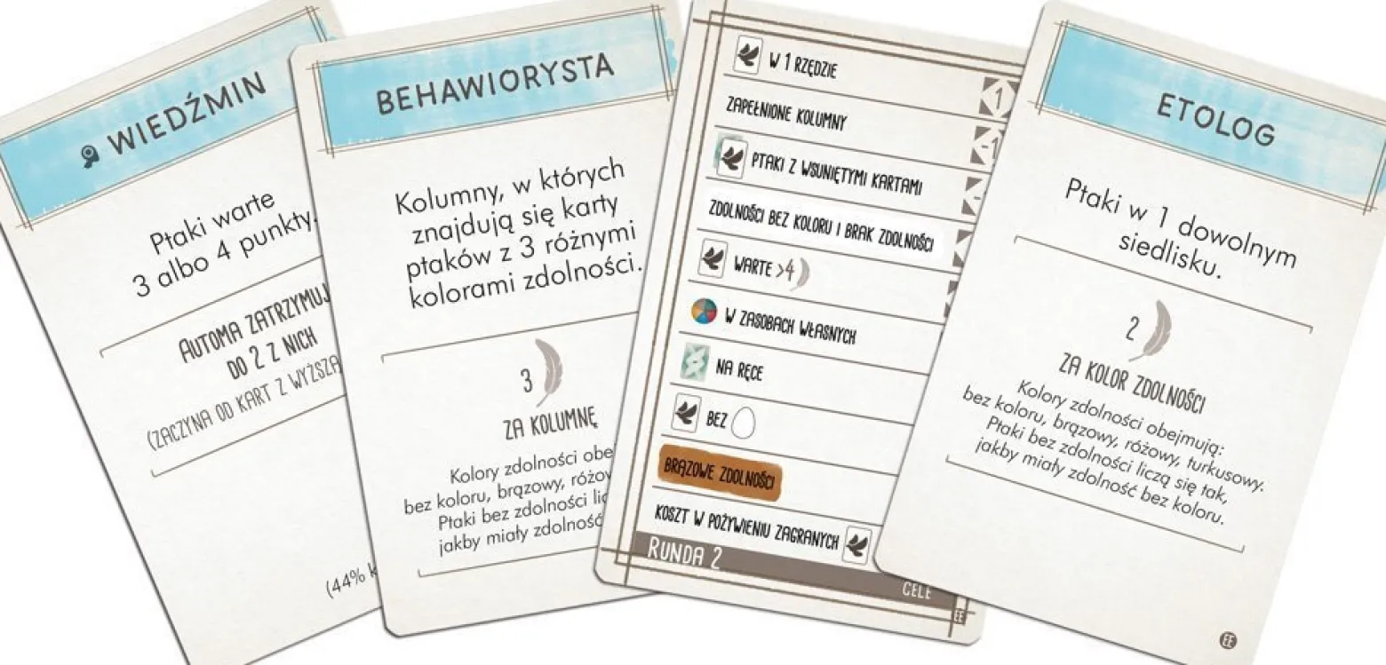 Na skrzydłach: Ptaki Europy