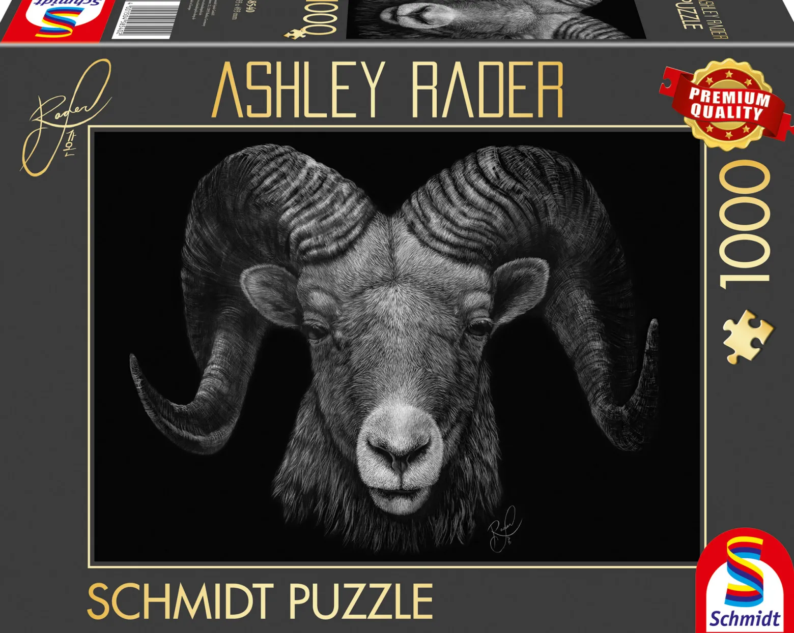 PQ Puzzle 1000 el. ASHLEY RADER Baran