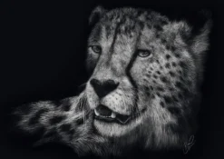 PQ Puzzle 1000 el. ASHLEY RADER Gepard