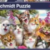PQ Puzzle 500 el. Koty robią selfie
