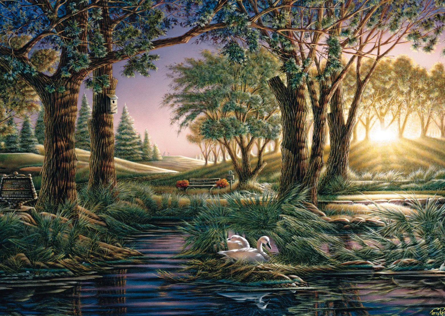 PQ Puzzle 1000 el. TERRY REDLIN Magia poranka