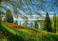 PQ Puzzle 1000 el. Wyspa kwitnących tulipanów