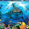 Puzzle 500 el. Żarłacz biały