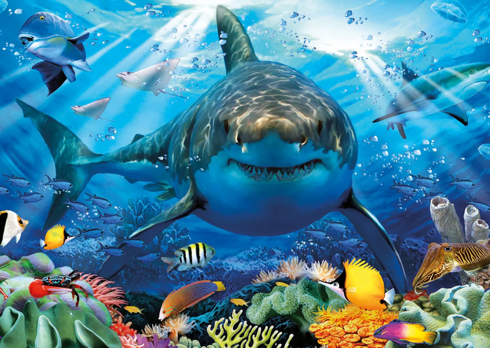 Puzzle 500 el. Żarłacz biały