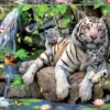Puzzle 1000 el. Białe tygrysy bengalskie
