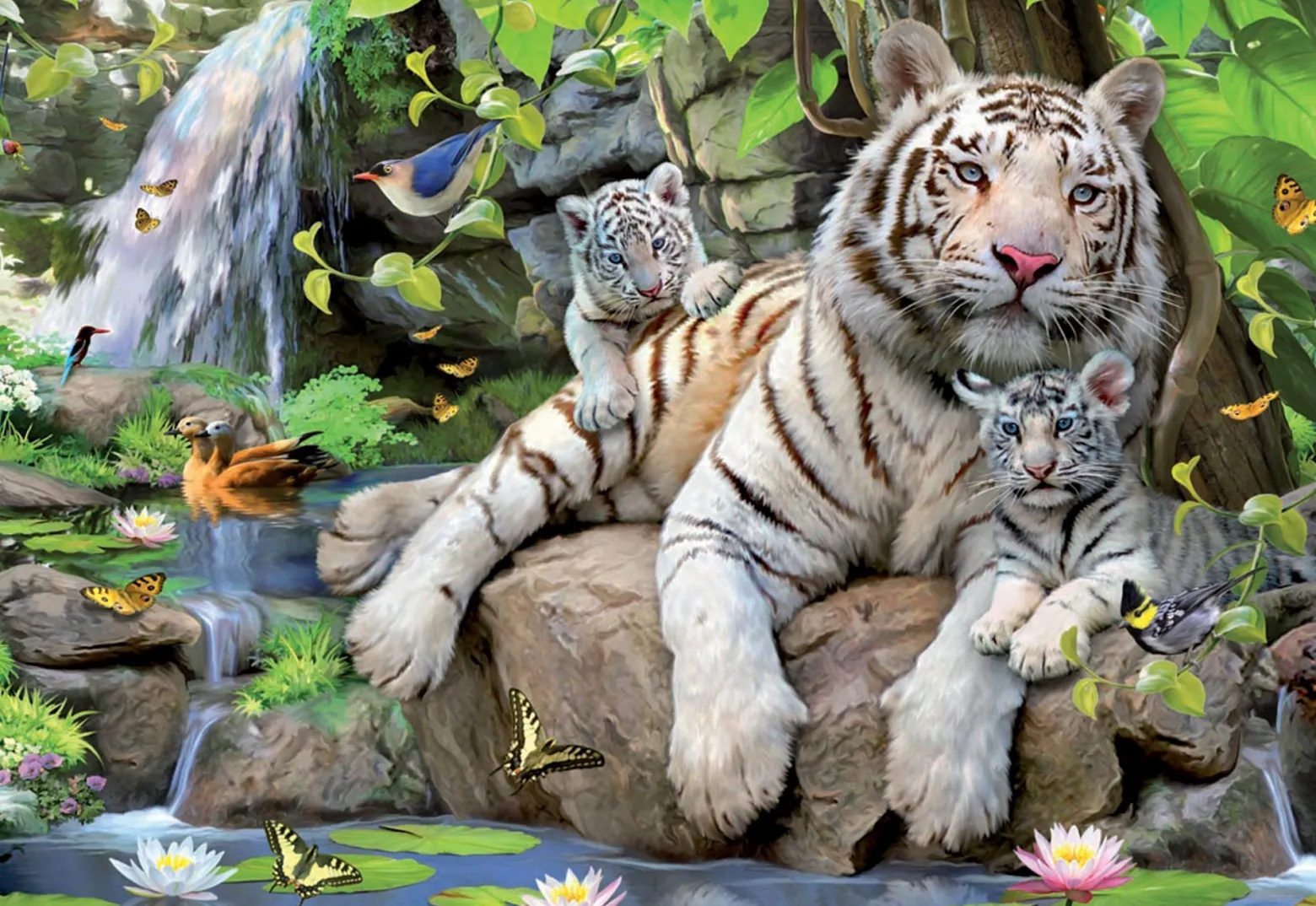 Puzzle 1000 el. Białe tygrysy bengalskie