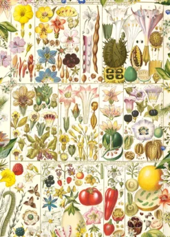 Puzzle 1000 el. Botaniczna rozkosz