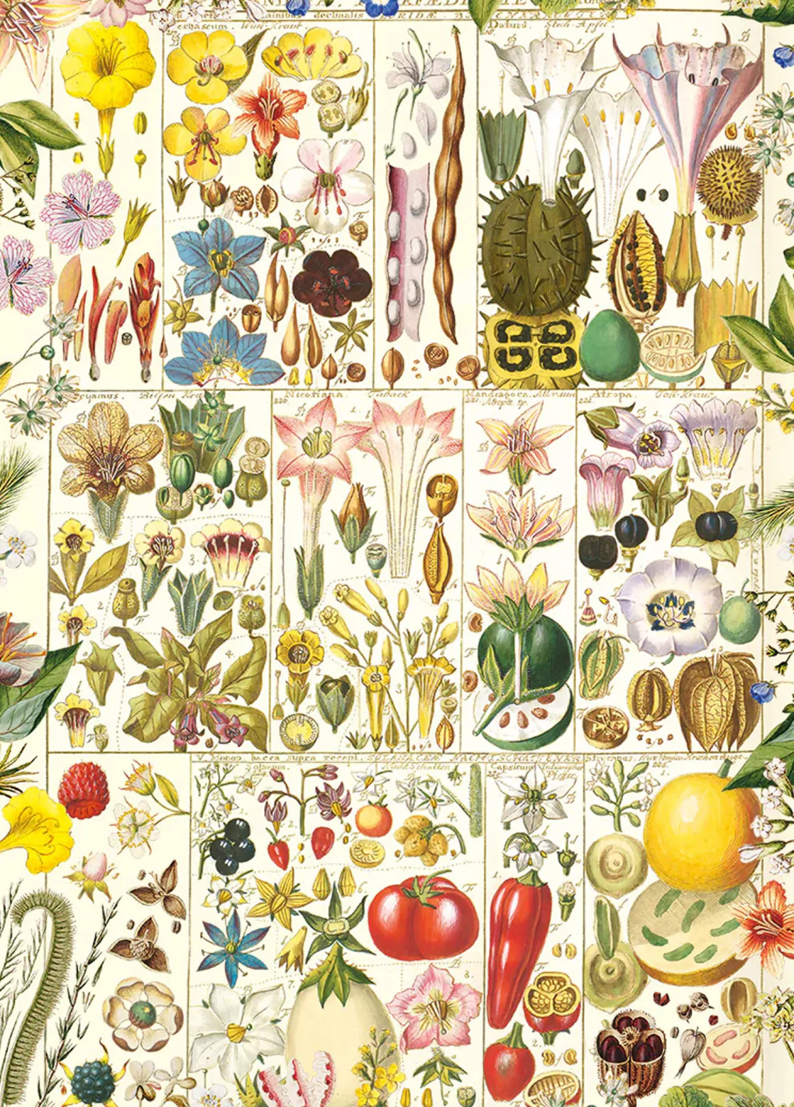 Puzzle 1000 el. Botaniczna rozkosz