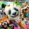 Puzzle 300 el. Czarnoocy przyjaciele