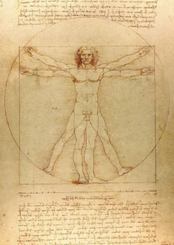 Puzzle 1000 el. Człowiek witruwiański, Leonardo da Vinci