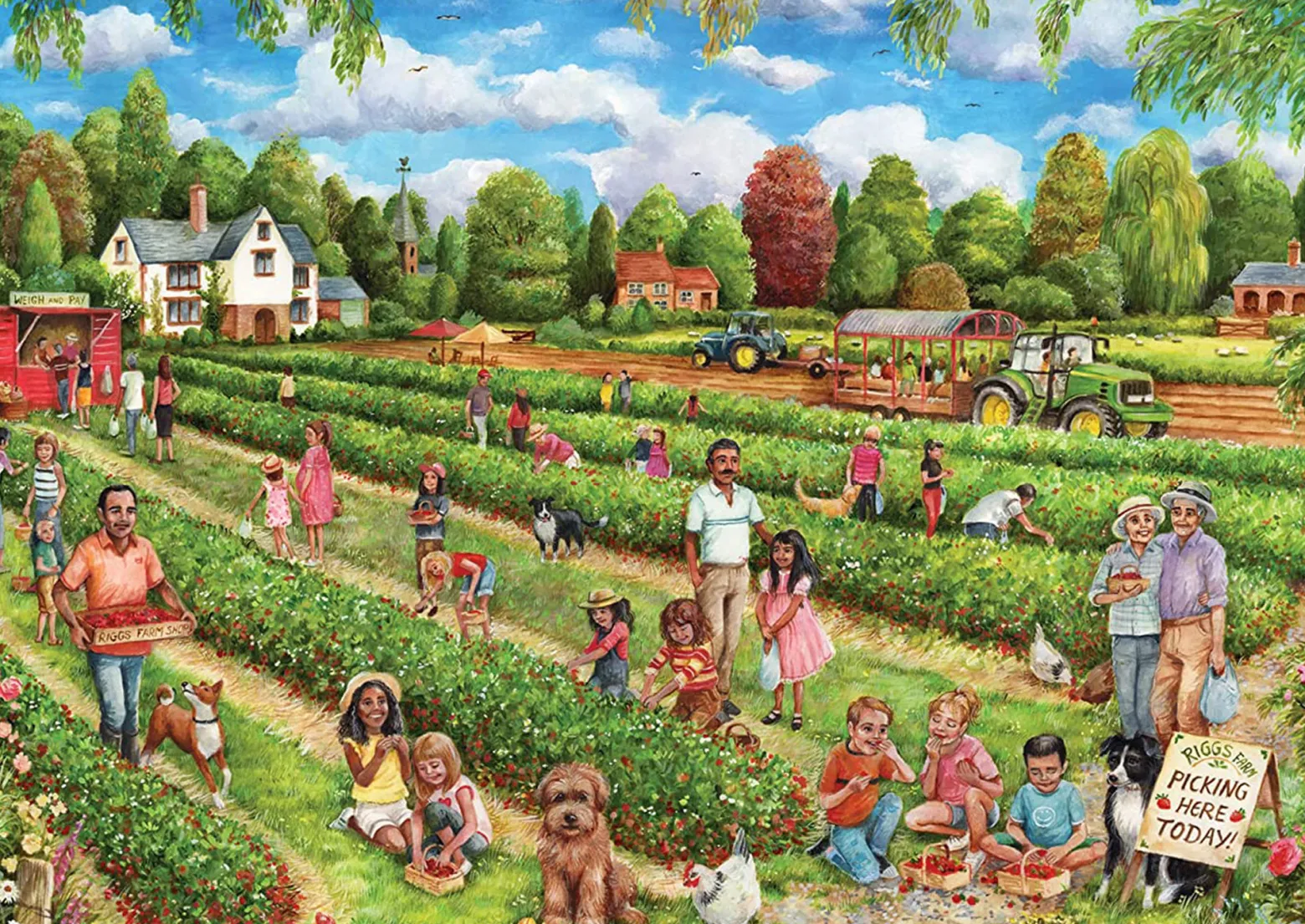 Puzzle 1000 el. FALCON Zbieranie truskawek