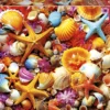 Puzzle 1000 el. Kolorowe muszelki