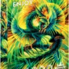 Puzzle 1000 el. Kolorowy smok