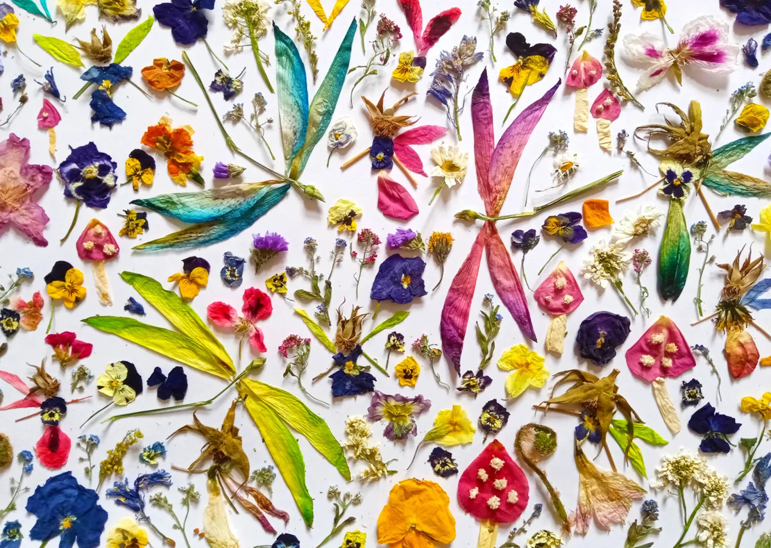 Puzzle 1000 el. Kwiaty i ważki