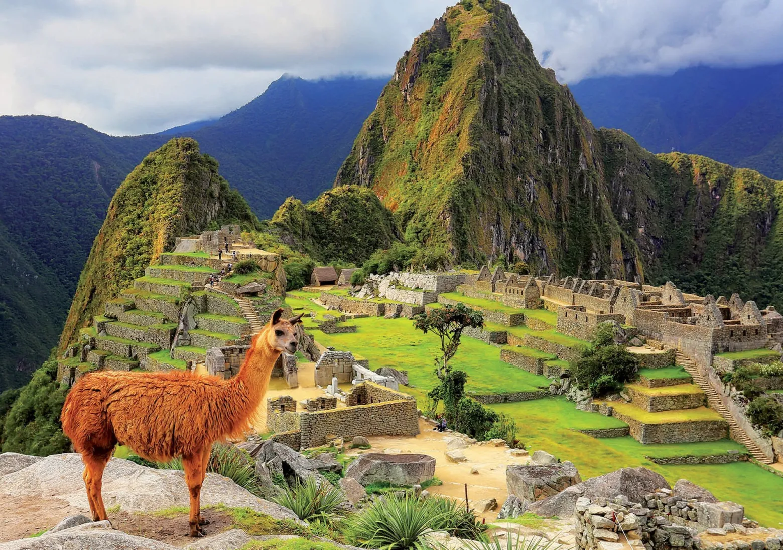 Puzzle 1000 el. Machu Picchu / Peru