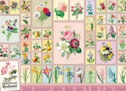Puzzle 1000 el. Pierre-Joseph Redoute