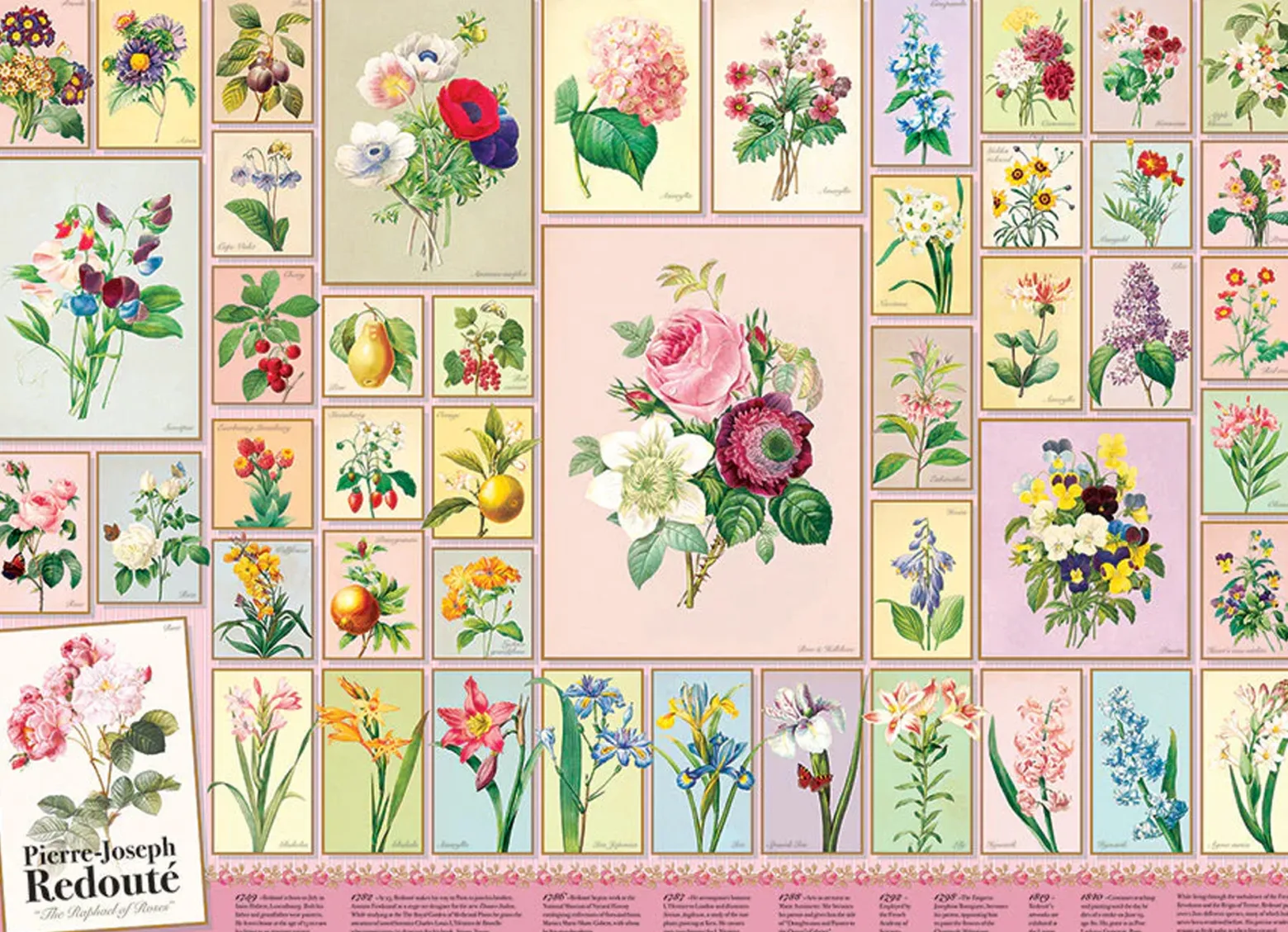 Puzzle 1000 el. Pierre-Joseph Redoute