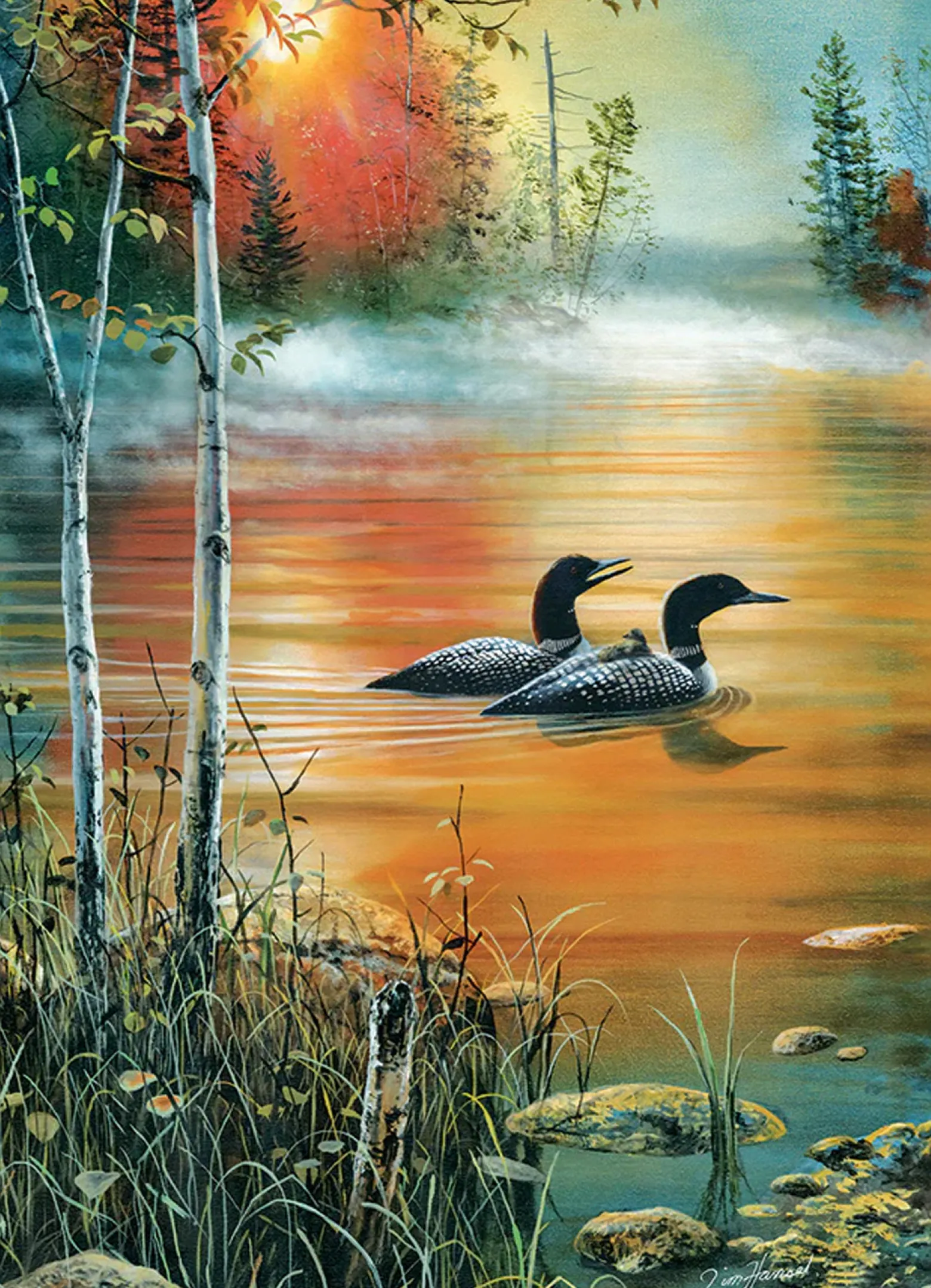 Puzzle 1000 el. Poranna mgła