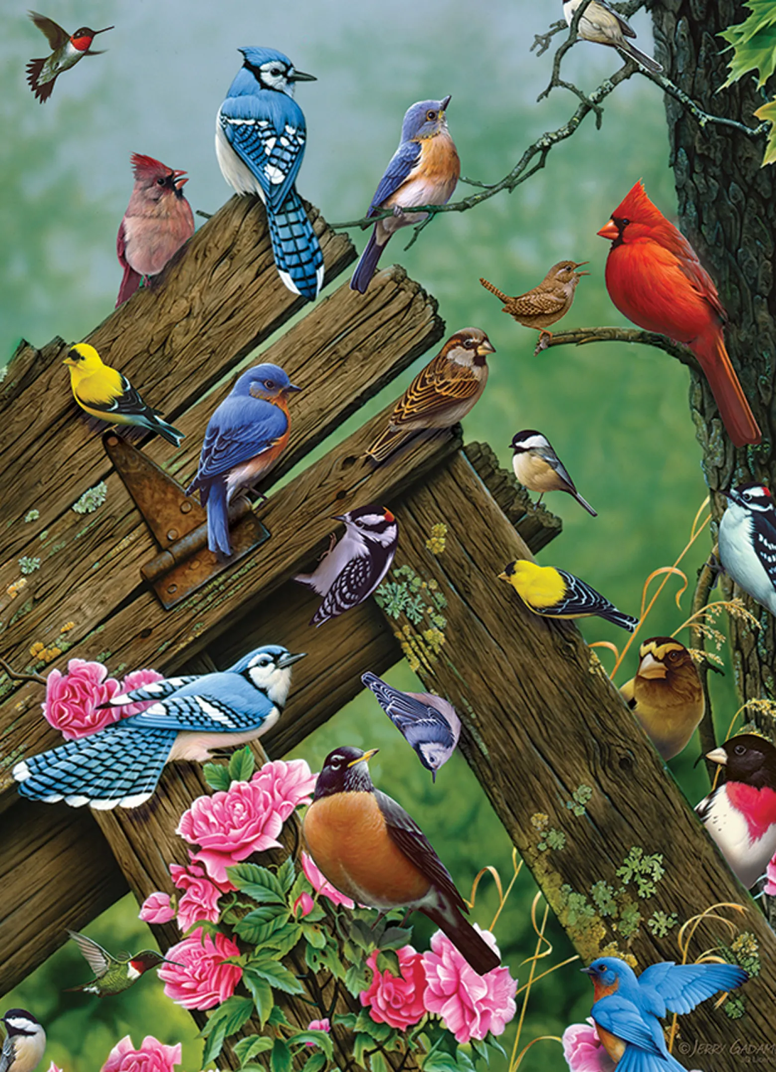 Puzzle 1000 el. Ptaki leśne