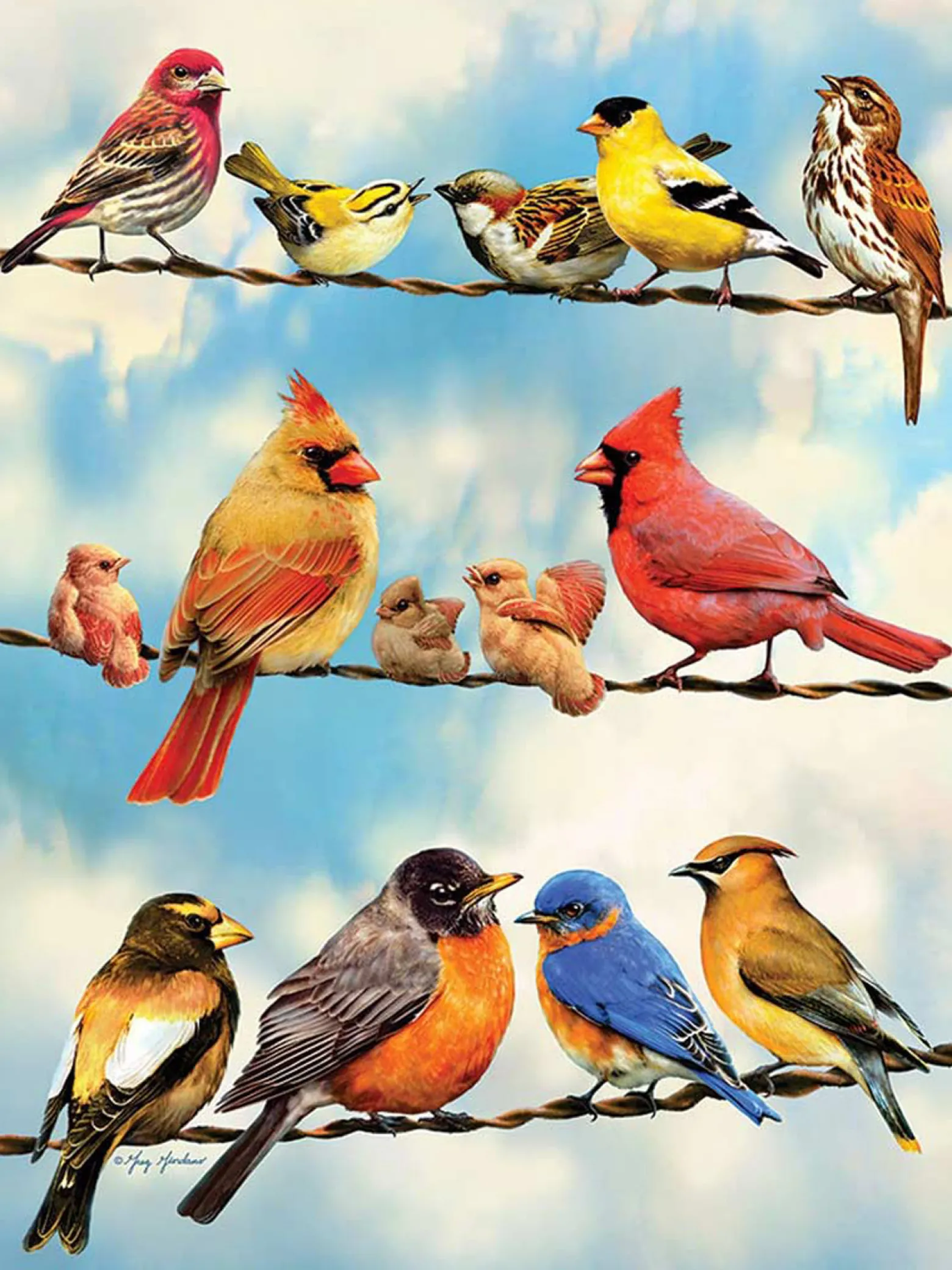Puzzle 500 el. Ptasia narada
