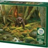 Puzzle 1000 el. Rodzina niedźwiedzi