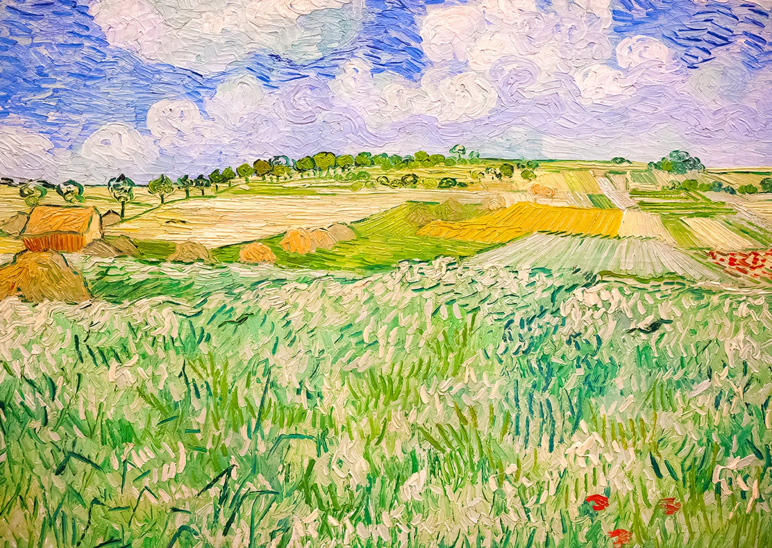 Puzzle 1000 el. Równina w pobliżu Auvers, Vincent van Gogh