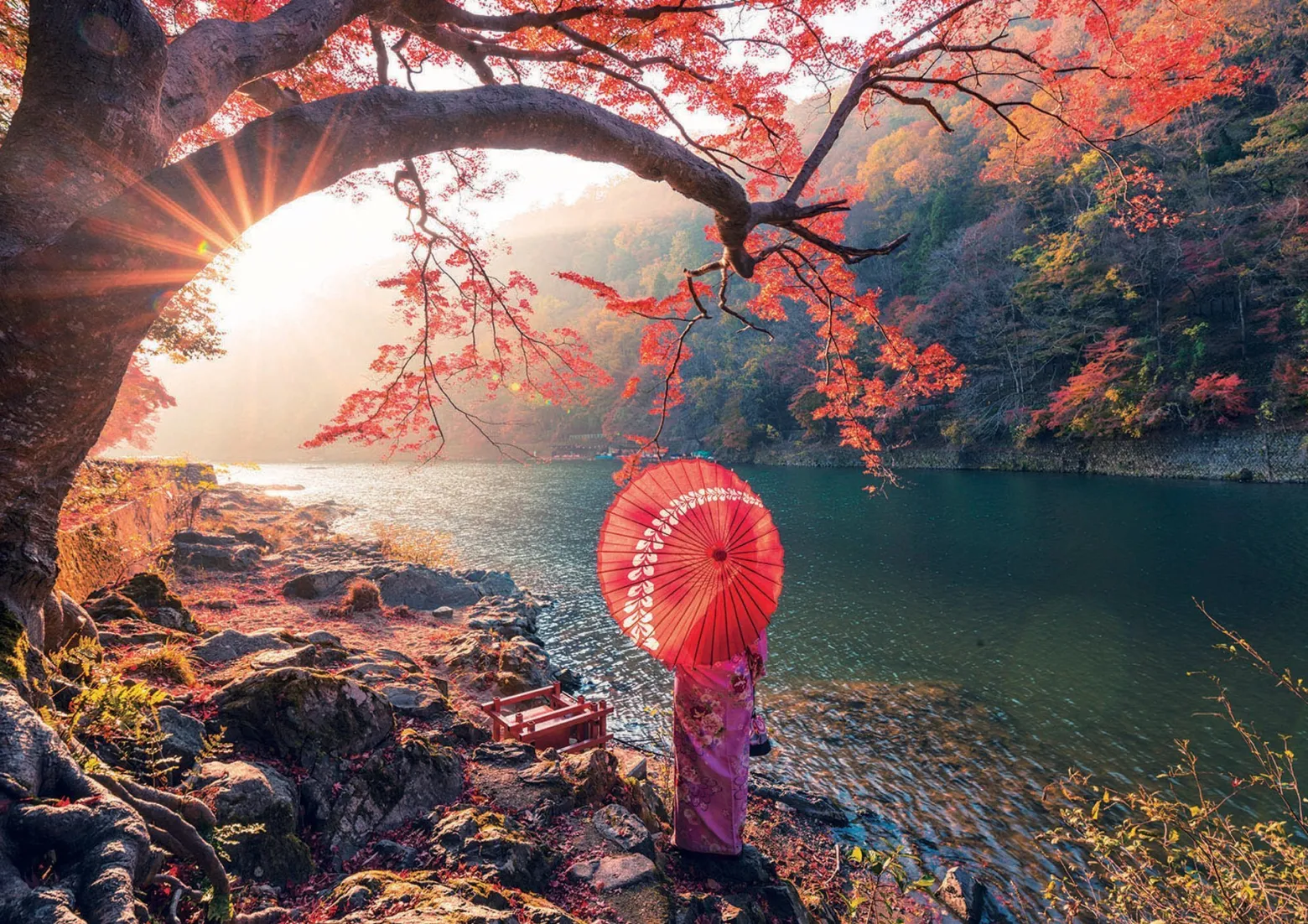 Puzzle 1000 el. Rzeka Katsura / Japonia