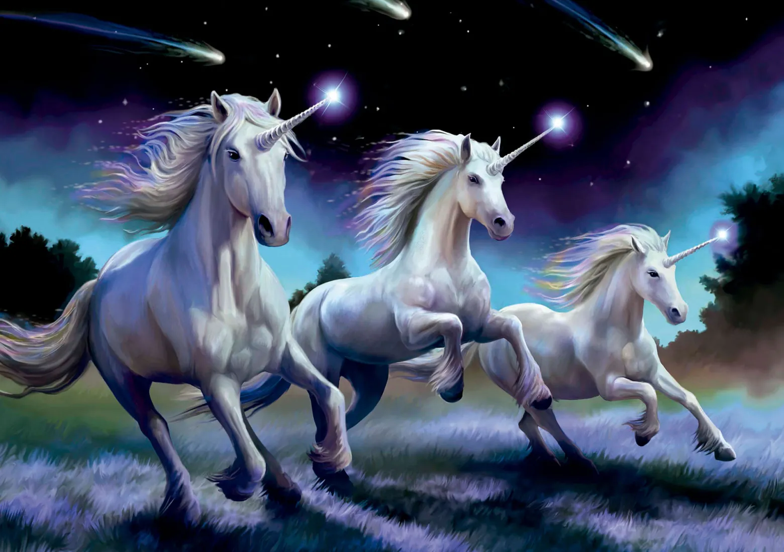 Puzzle 1000 el. Spadające gwiazdy, Anne Stokes