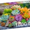 Puzzle 1000 el. Sukulenty