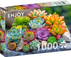 Puzzle 1000 el. Sukulenty