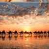 Puzzle 1000 el. Zachód słońca na Cable Beach / Australia