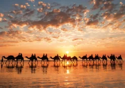 Puzzle 1000 el. Zachód słońca na Cable Beach / Australia