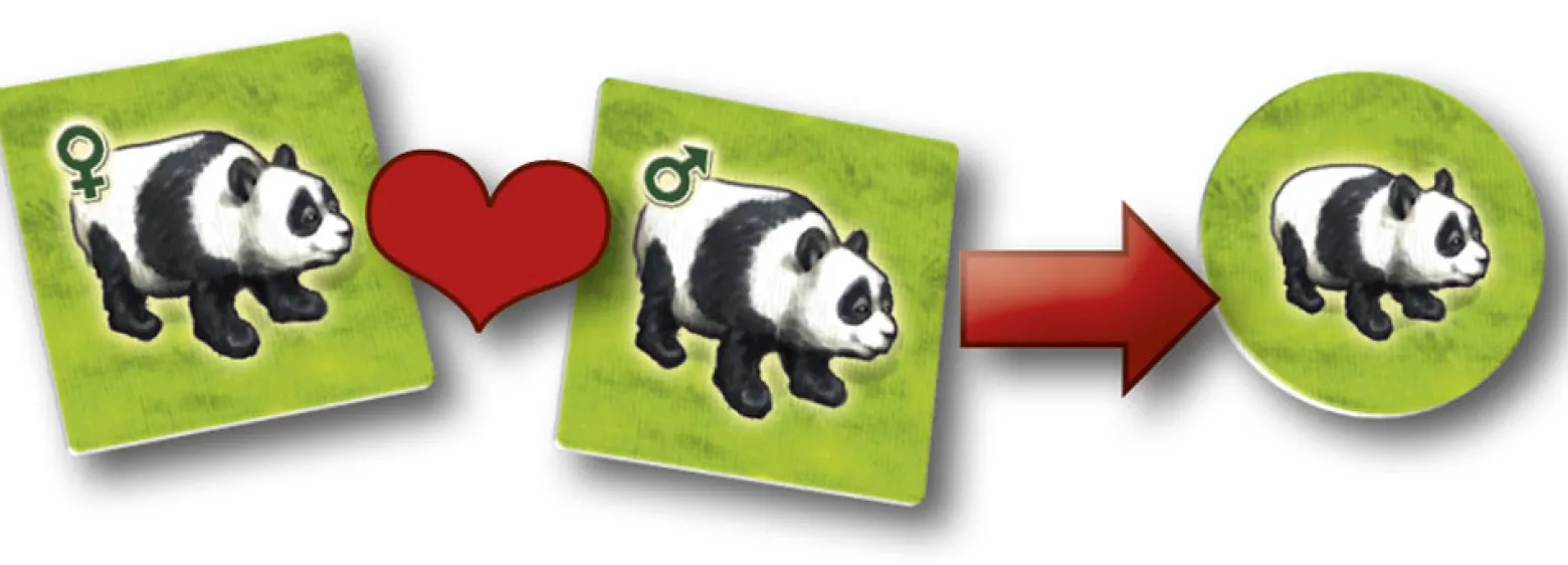Zooloretto